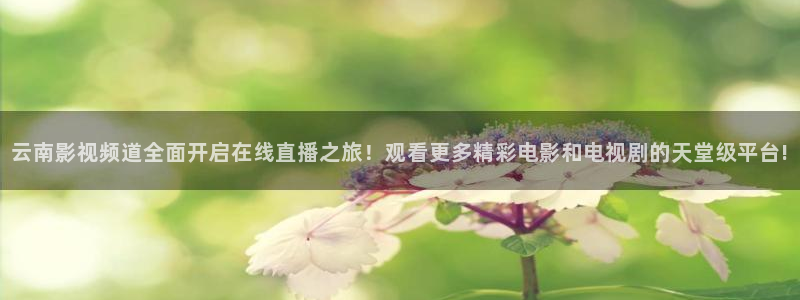 云南影视频道全面开启在线直播之旅！观看更多精彩电影和电视剧的天堂级平台!