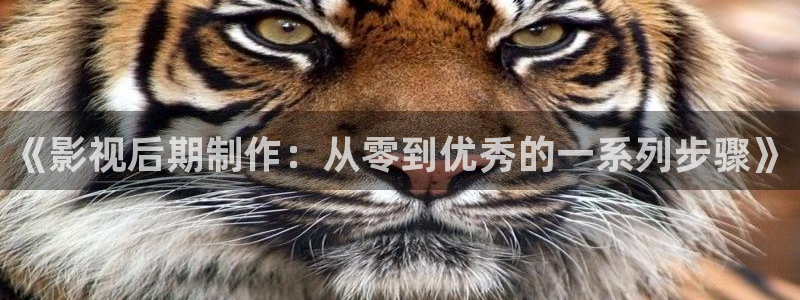 《影视后期制作：从零到优秀的一系列步骤》