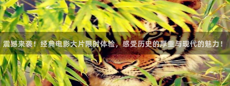 震撼来袭！经典电影大片限时体验，感受历史的厚重与现代的魅力！