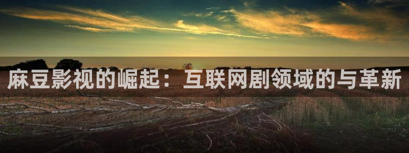 麻豆影视的崛起：互联网剧领域的与革新