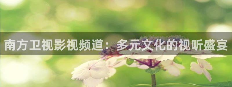 南方卫视影视频道：多元文化的视听盛宴