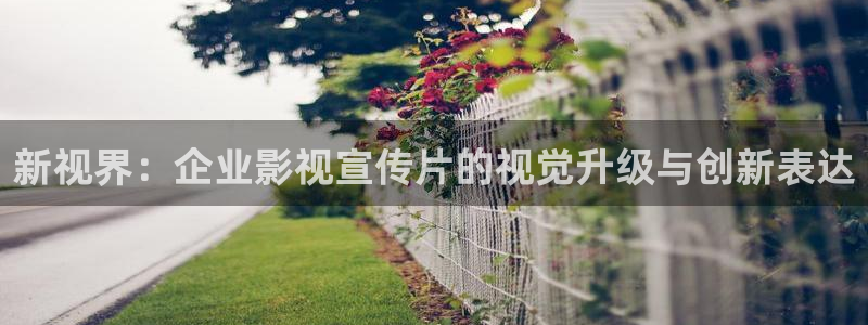 新视界：企业影视宣传片的视觉升级与创新表达