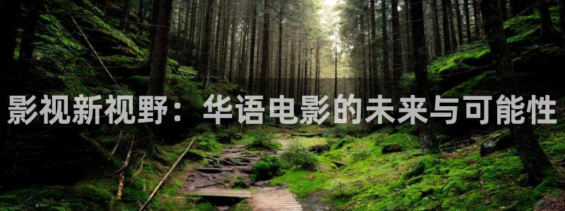 影视新视野：华语电影的未来与可能性