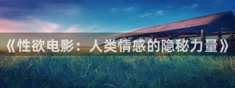 《性欲电影：人类情感的隐秘力量》