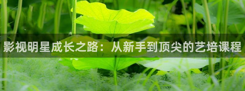 影视明星成长之路：从新手到顶尖的艺培课程
