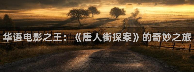 华语电影之王：《唐人街探案》的奇妙之旅